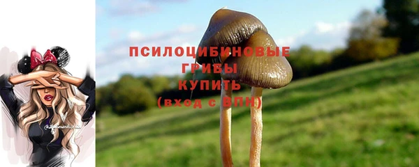 герыч Алзамай