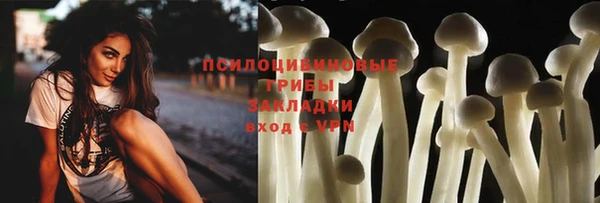 apvp Абинск