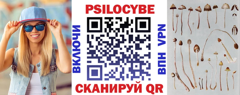 Галлюциногенные грибы Psilocybine cubensis blacksprut рабочий сайт Алатырь